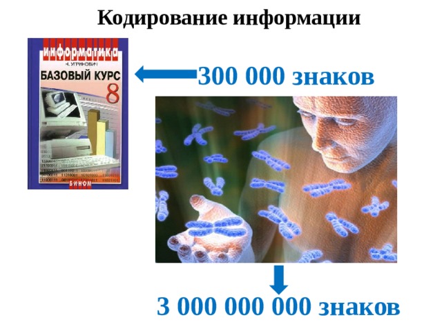 Кодирование информации 300 000 знаков 3 000 000 000 знаков 