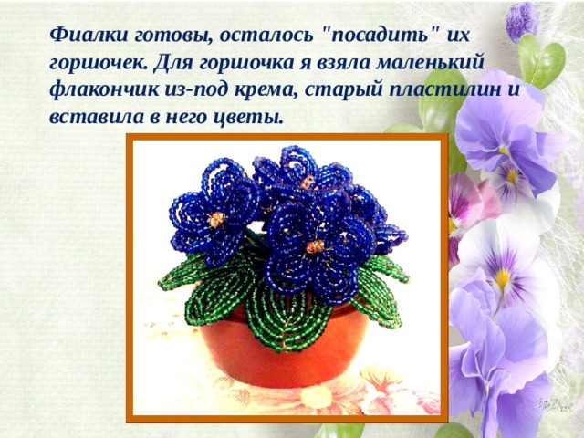 Фиалки готовы, осталось 