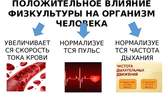 ПОЛОЖИТЕЛЬНОЕ ВЛИЯНИЕ ФИЗКУЛЬТУРЫ НА ОРГАНИЗМ ЧЕЛОВЕКА НОРМАЛИЗУЕТСЯ ПУЛЬС НОРМАЛИЗУЕТСЯ ЧАСТОТА ДЫХАНИЯ УВЕЛИЧИВАЕТСЯ СКОРОСТЬ ТОКА КРОВИ 