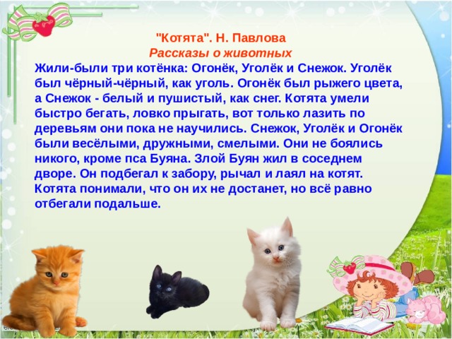 Жили были 3. Рассказ котенок. Котята Павлова рассказ. Рассказ три котенка. Жили были три котенка.