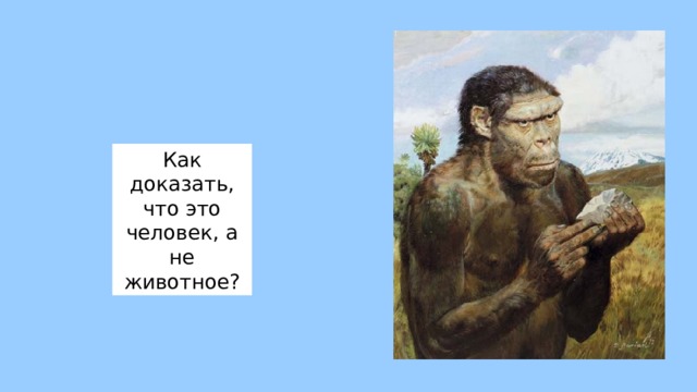 Как доказать, что это человек, а не животное? 