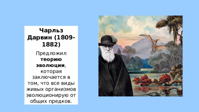Чарльз Дарвин (1809-1882) Предложил теорию эволюции , которая заключается в том, что все виды живых организмов эволюционирую от общих предков. 