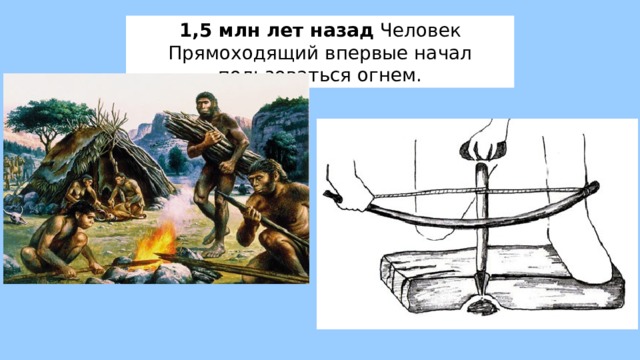 1,5 млн лет назад Человек Прямоходящий впервые начал пользоваться огнем. 