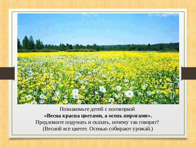 Познакомьте детей с поговоркой «Весна красна цветами, а осень пирогами». Предложите подумать и сказать, почему так говорят? (Весной все цветет. Осенью собирают урожай.) 