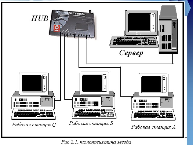 Компьютерная сеть не имеющая специально выделенного сервера называется