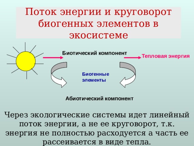 Каково значение круговорота в природе. Мини сообщение поток энергии. Поток энергии через температуру.