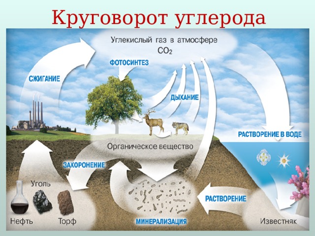 Картинки углерод в природе