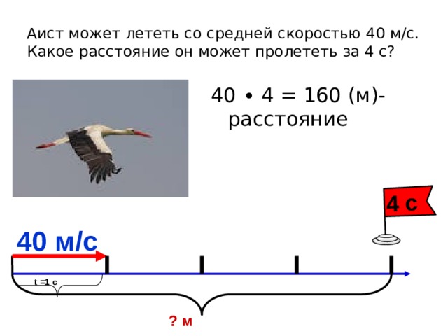 4 с Аист может лететь со средней скоростью 40 м/с. Какое расстояние он может пролететь за 4 с? 40 ∙ 4 = 160 (м)- расстояние 40 м/с t =1 с ? м 