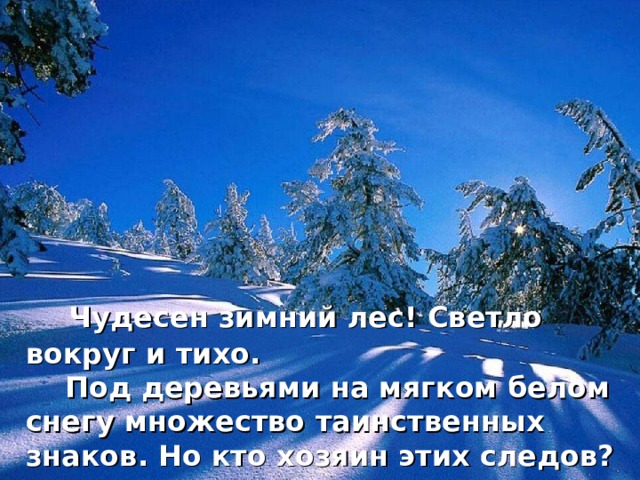  Чудесен зимний лес! Светло вокруг и тихо.  Под деревьями на мягком белом снегу множество таинственных знаков. Но кто хозяин этих следов?   