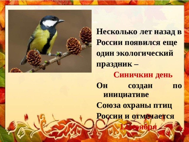 Несколько лет назад в России появился еще один экологический праздник –   Синичкин день  Он создан по инициативе Союза охраны птиц России и отмечается  12 ноября 