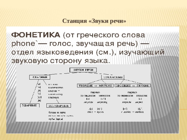Станция «Звуки речи» 