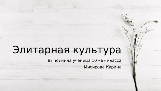 Элитарная культура презентация