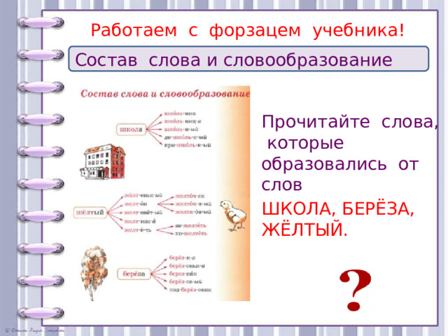 Работаем с форзацем учебника! Состав слова и словообразование Прочитайте слова, которые образовались от слов ШКОЛА, БЕРЁЗА, ЖЁЛТЫЙ.  