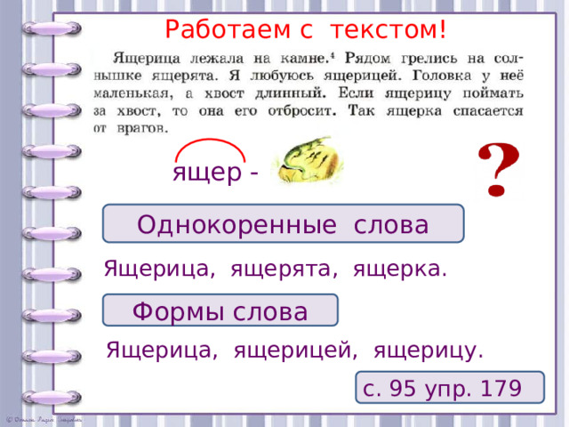 Работаем с текстом!  ящер - Однокоренные слова Ящерица, ящерята, ящерка. Формы слова Ящерица, ящерицей, ящерицу. с. 95 упр. 179 