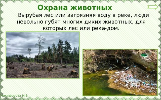 Охрана животных  Вырубая лес или загрязняя воду в реке, люди невольно губят многих диких животных, для которых лес или река-дом.