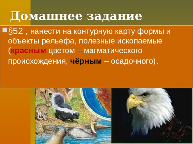 Работаем с текстом Найдите и исправьте ошибки в тексте. Вдоль западного побережья Северной Америки протянулись горы Аппалачи с самой высокой вершиной — горой Мак-Кинли. Эти горы сформировались в эпоху каледонской и герцинскои складчатости. У них сглаженные вершины и пологие, заросшие растительностью склоны. Главное богатство этих гор — железная руда и каменный уголь. Здесь берет начало один из притоков Миссисипи — река Миссури. К востоку от гор простираются Центральные равнины. Это наиболее освоенная в сельскохо­зяйственном отношении территория Северной Америки. Далее  