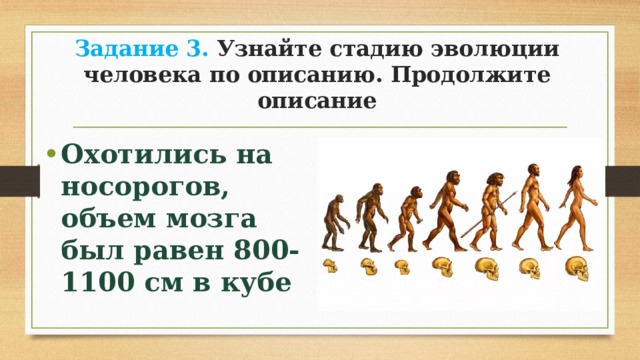 Эволюция человека презентация 9 класс. Этапы эволюции человека презентация 9 класс. Презентация по биологии 9 класс Эволюция человека. 3 Стадии эволюции человека. Этап развития человека и объем мозга.