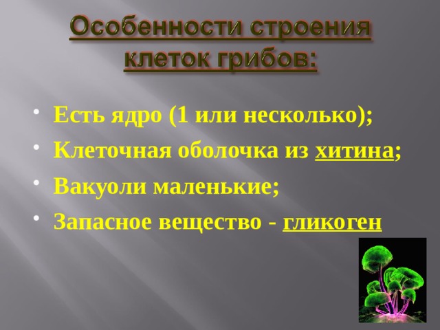 Есть ядро (1 или несколько); Клеточная оболочка из хитина ; Вакуоли маленькие; Запасное вещество - гликоген 