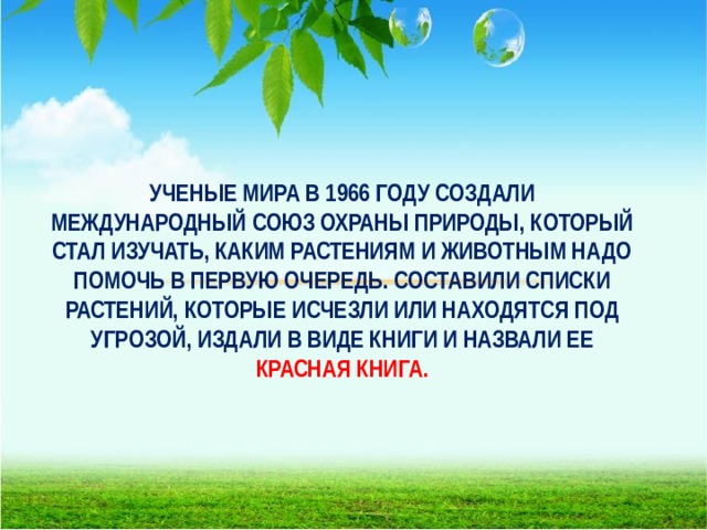                                         УЧЕНЫЕ МИРА В 1966 ГОДУ СОЗДАЛИ МЕЖДУНАРОДНЫЙ СОЮЗ ОХРАНЫ ПРИРОДЫ, КОТОРЫЙ СТАЛ ИЗУЧАТЬ, КАКИМ РАСТЕНИЯМ И ЖИВОТНЫМ НАДО ПОМОЧЬ В ПЕРВУЮ ОЧЕРЕДЬ. СОСТАВИЛИ СПИСКИ РАСТЕНИЙ, КОТОРЫЕ ИСЧЕЗЛИ ИЛИ НАХОДЯТСЯ ПОД УГРОЗОЙ, ИЗДАЛИ В ВИДЕ КНИГИ И НАЗВАЛИ ЕЕ КРАСНАЯ КНИГА.    