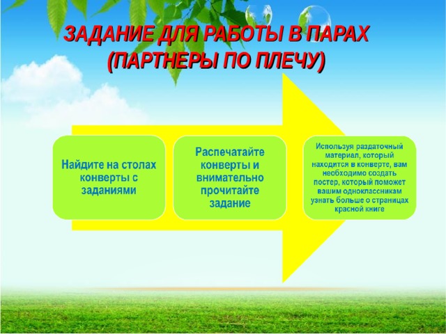 ЗАДАНИЕ ДЛЯ РАБОТЫ В ПАРАХ  (ПАРТНЕРЫ ПО ПЛЕЧУ)  