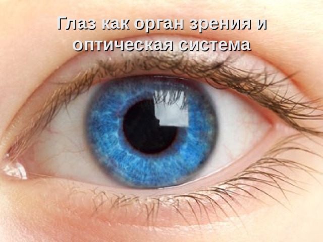 Глаз как орган зрения и оптическая система 