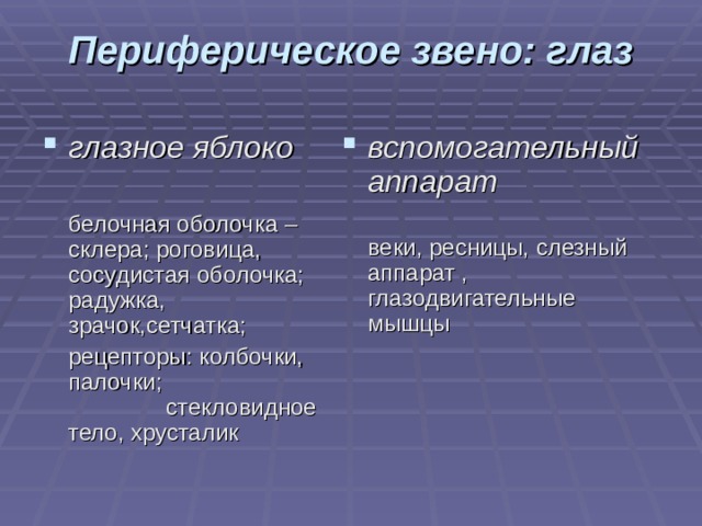 Периферическое звено: глаз   глазное яблоко  вспомогательный аппарат   белочная оболочка – склера; роговица, сосудистая оболочка; радужка, зрачок,сетчатка;  рецепторы: колбочки, палочки; стекловидное тело, хрусталик  веки, ресницы, слезный аппарат , глазодвигательные мышцы 