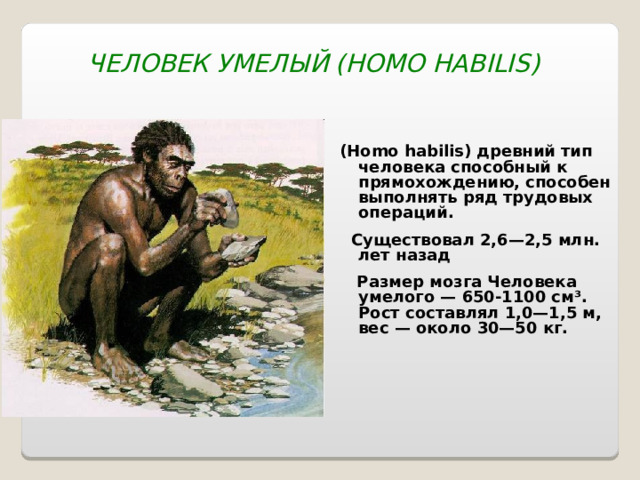 ЧЕЛОВЕК УМЕЛЫЙ ( HOMO HABILIS )  (Homo habilis) древний тип человека способный к прямохождению, способен выполнять ряд трудовых операций.  Существовал 2,6—2,5 млн. лет назад  Размер мозга Человека умелого — 650-1100 см³. Рост составлял 1,0—1,5 м, вес — около 30—50 кг. 