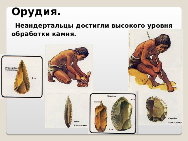 Орудия.  Неандертальцы достигли высокого уровня обработки камня.  