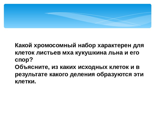 Какой хромосомный набор характерен для клеток листьев мха кукушкина льна и его спор? Объясните, из каких исходных клеток и в результате какого деления образуются эти клетки. Ответ Споры кукушкина льна образуются на спорофите путем мейоза, у них гаплоидный набор хромосом. Из споры путем митоза развивается гаметофит мха – растение со стеблем и листьями. Все клетки гаметофита гаплоидные.  