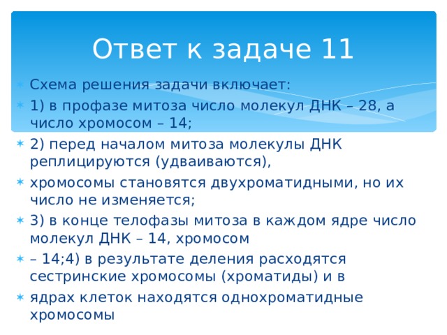 Ответ к задаче 11 Схема решения задачи включает: 1) в профазе митоза число молекул ДНК – 28, а число хромосом – 14; 2) перед началом митоза молекулы ДНК реплицируются (удваиваются), хромосомы становятся двухроматидными, но их число не изменяется; 3) в конце телофазы митоза в каждом ядре число молекул ДНК – 14, хромосом – 14; 4 ) в результате деления расходятся сестринские хромосомы (хроматиды) и в ядрах клеток находятся однохроматидные хромосомы 