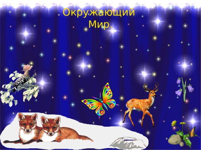 Окружающий Мир. 