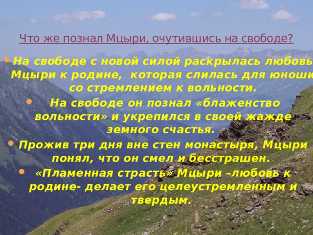 Что же познал Мцыри, очутившись на свободе?