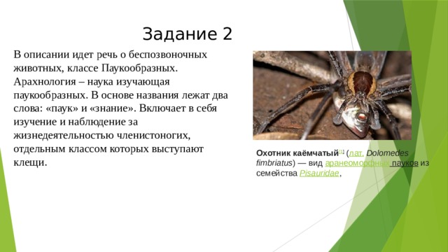 Задание 2 В описании идет речь о беспозвоночных животных, классе Паукообразных. Арахнология – наука изучающая паукообразных. В основе названия лежат два слова: «паук» и «знание». Включает в себя изучение и наблюдение за жизнедеятельностью членистоногих, отдельным классом которых выступают клещи. Охотник каёмчатый [1 ]  ( лат.   Dolomedes fimbriatus ) — вид  аранеоморфных пауков  из семейства  Pisauridae ,  