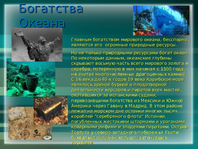 Проект на тему жизнь в мировом океане