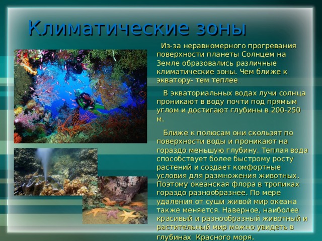 Климатические зоны  Из-за неравномерного прогревания поверхности планеты Солнцем на Земле образовались различные климатические зоны. Чем ближе к экватору- тем теплее  В экваториальных водах лучи солнца проникают в воду почти под прямым углом и достигают глубины в 200-250 м.  Ближе к полюсам они скользят по поверхности воды и проникают на гораздо меньшую глубину. Теплая вода способствует более быстрому росту растений и создает комфортные условия для размножения животных. Поэтому океанская флора в тропиках гораздо разнообразнее. По мере удаления от суши живой мир океана также меняется. Наверное, наиболее красивый и разнообразный животный и растительный мир можно увидеть в глубинах Красного моря . 