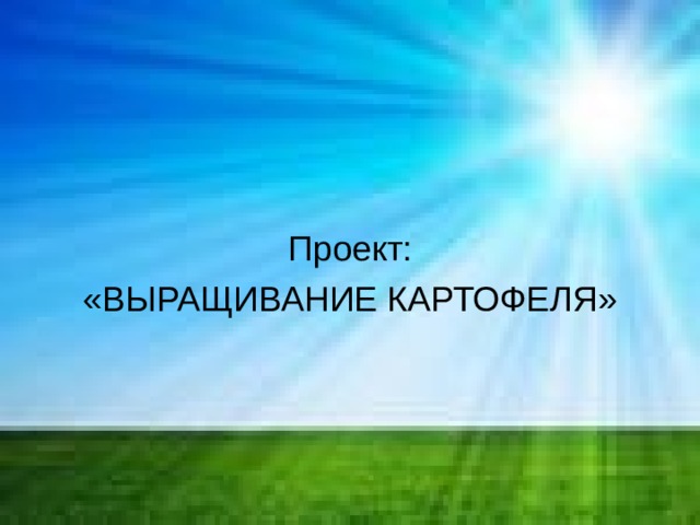 Проект: «ВЫРАЩИВАНИЕ КАРТОФЕЛЯ» 