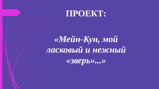 ПРОЕКТ: «Мейн-Кун, мой ласковый и нежный «зверь»...» 