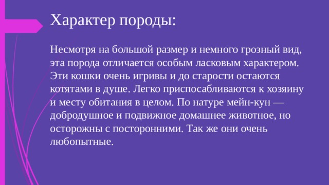 Характер породы: Несмотря на большой размер и немного грозный вид, эта порода отличается особым ласковым характером. Эти кошки очень игривы и до старости остаются котятами в душе. Легко приспосабливаются к хозяину и месту обитания в целом. По натуре мейн-кун — добродушное и подвижное домашнее животное, но осторожны с посторонними. Так же они очень любопытные. 