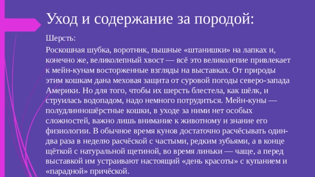Уход и содержание за породой: Шерсть: Роскошная шубка, воротник, пышные «штанишки» на лапках и, конечно же, великолепный хвост — всё это великолепие привлекает к мейн-кунам восторженные взгляды на выставках. От природы этим кошкам дана меховая защита от суровой погоды северо-запада Америки. Но для того, чтобы их шерсть блестела, как шёлк, и струилась водопадом, надо немного потрудиться. Мейн-куны — полудлинношёрстные кошки, в уходе за ними нет особых сложностей, важно лишь внимание к животному и знание его физиологии. В обычное время кунов достаточно расчёсывать один-два раза в неделю расчёской с частыми, редким зубьями, а в конце щёткой с натуральной щетиной, во время линьки — чаще, а перед выставкой им устраивают настоящий «день красоты» с купанием и «парадной» причёской. 