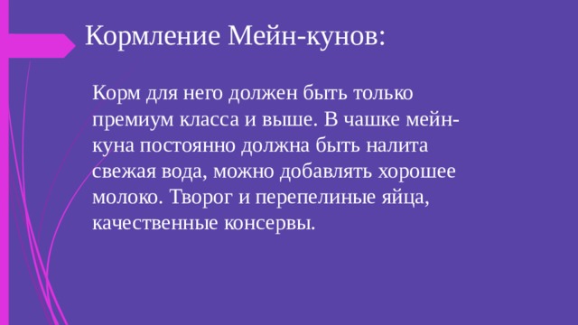 Кормление Мейн-кунов: Корм для него должен быть только премиум класса и выше. В чашке мейн-куна постоянно должна быть налита свежая вода, можно добавлять хорошее молоко. Творог и перепелиные яйца, качественные консервы. 