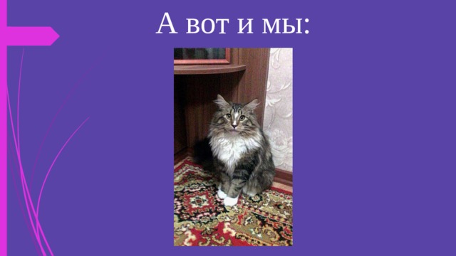 А вот и мы: 