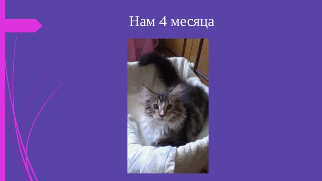 Нам 4 месяца 