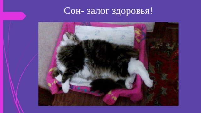 Сон- залог здоровья! 