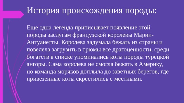 История происхождения породы: Еще одна легенда приписывает появление этой породы заслугам французской королевы Марии-Антуанетты. Королева задумала бежать из страны и повелела загрузить в трюмы все драгоценности, среди богатств в списке упоминались коты породы турецкой ангоры. Сама королева не смогла бежать в Америку, но команда моряков доплыла до заветных берегов, где привезенные коты скрестились с местными. 