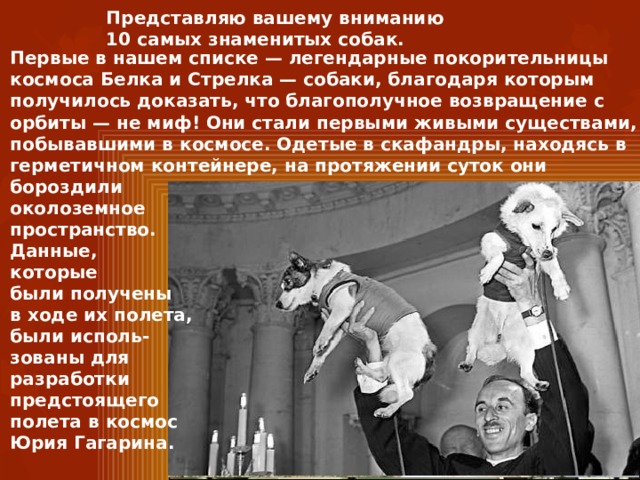 Представляю вашему вниманию 10 самых знаменитых собак. Первые в нашем списке — легендарные покорительницы космоса Белка и Стрелка — собаки, благодаря которым получилось доказать, что благополучное возвращение с орбиты — не миф! Они стали первыми живыми существами, побывавшими в космосе. Одетые в скафандры, находясь в герметичном контейнере, на протяжении суток они бороздили околоземное пространство. Данные, которые были получены в ходе их полета, были исполь- зованы для разработки предстоящего полета в космос Юрия Гагарина. 