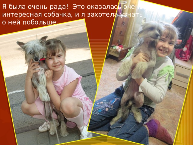 Я была очень рада! Это оказалась очень интересная собачка, и я захотела узнать о ней побольше. 