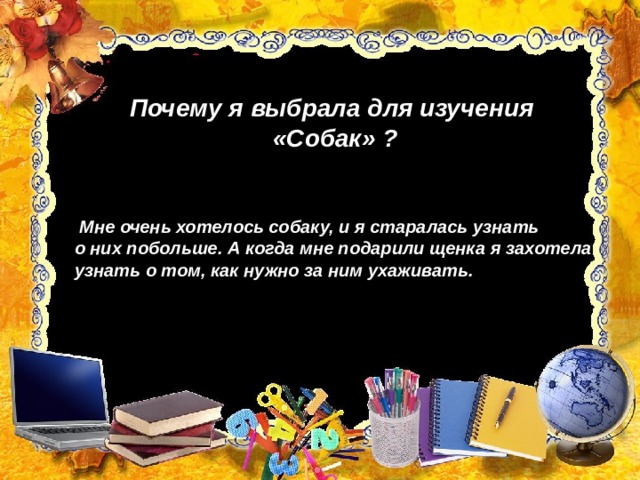 Почему я выбрала для изучения «Собак» ?       Мне очень хотелось собаку, и я старалась узнать о них побольше. А когда мне подарили щенка я захотела узнать о том, как нужно за ним ухаживать. 