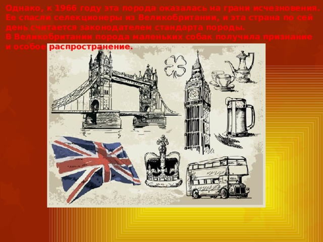 Однако, к 1966 году эта порода оказалась на грани исчезновения. Ее спасли селекционеры из Великобритании, и эта страна по сей день считается законодателем стандарта породы. В Великобритании порода маленьких собак получила признание и особое распространение. 