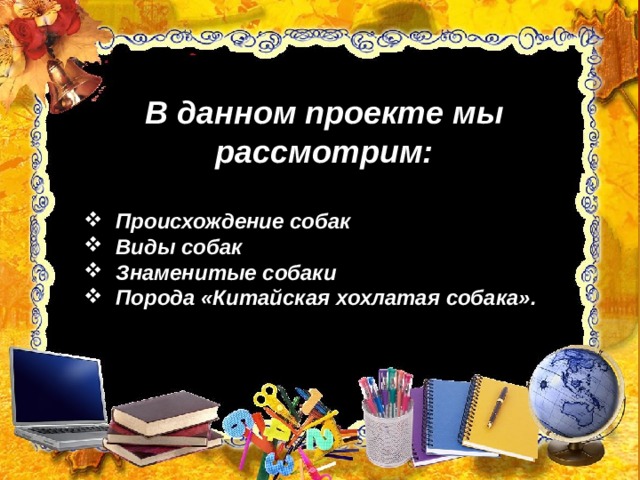 В данном проекте мы рассмотрим:  Происхождение собак Виды собак Знаменитые собаки Порода «Китайская хохлатая собака».  