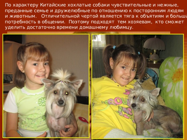По характеру Китайские хохлатые собаки чувствительные и нежные, преданные семье и дружелюбные по отношению к посторонним людям и животным. Отличительной чертой является тяга к объятиям и большая потребность в общении. Поэтому подходят тем хозяевам, кто сможет уделить достаточно времени домашнему любимцу.   